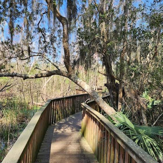 Sea Pines Forest Preserve