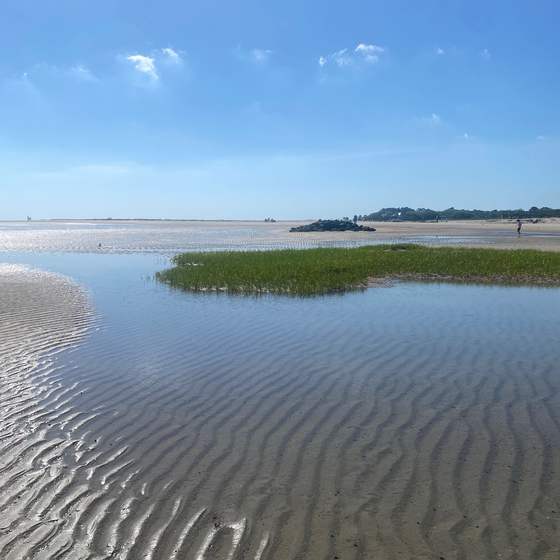 Fish Haul Beach