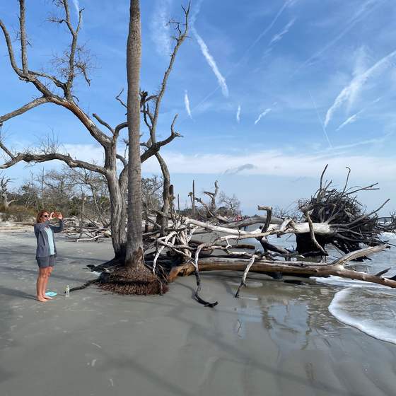 Hunting Island