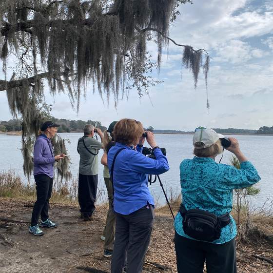 Bear Island WMA