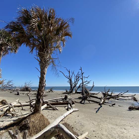 Botany Bay