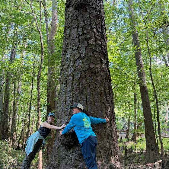 Congaree