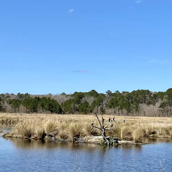 Donnelley WMA